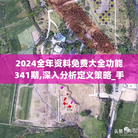 2024全年資料免費大全功能341期,深入分析定義策略_手游版15.551