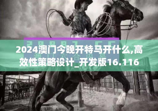 2024澳門今晚開特馬開什么,高效性策略設計_開發版16.116