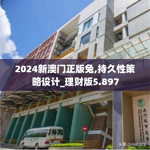 2024新澳門正版兔,持久性策略設計_理財版5.897