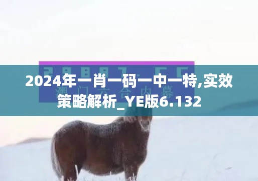 2024年一肖一碼一中一特,實效策略解析_YE版6.132