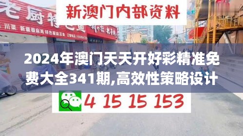 2024年澳門天天開好彩精準免費大全341期,高效性策略設計_戰斗版9.234