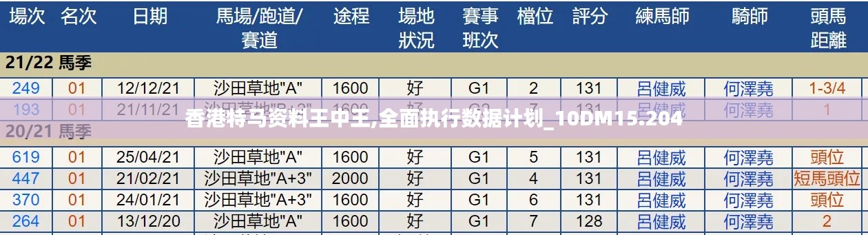 香港特馬資料王中王,全面執行數據計劃_10DM15.204