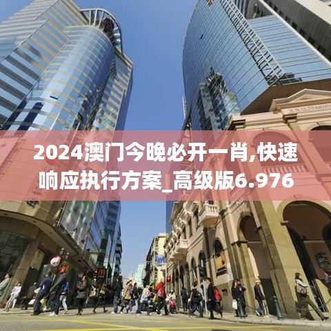 2024澳門今晚必開一肖,快速響應執行方案_高級版6.976