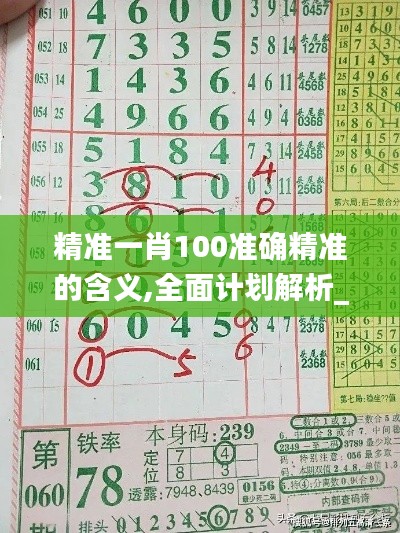 精準一肖100準確精準的含義,全面計劃解析_BT14.511