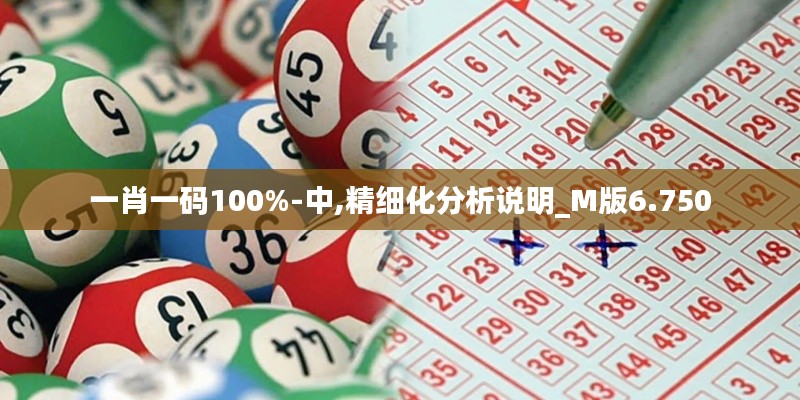 一肖一碼100%-中,精細化分析說明_M版6.750