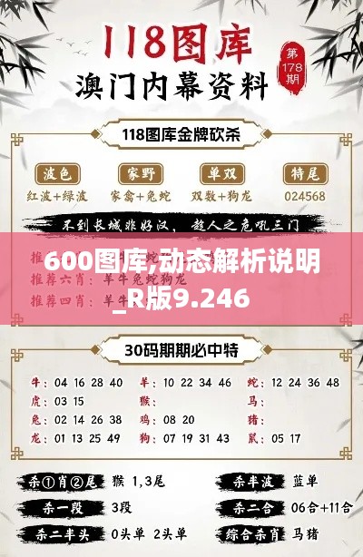 600圖庫,動態解析說明_R版9.246