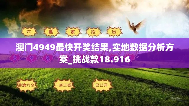 澳門4949最快開獎結果,實地數據分析方案_挑戰款18.916