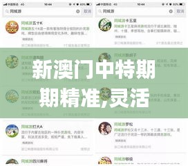 新澳門中特期期精準,靈活執行策略_vShop4.430