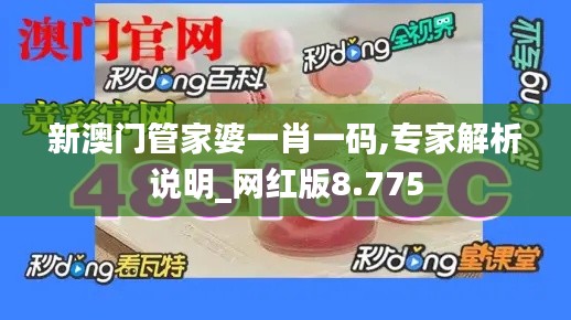 新澳門管家婆一肖一碼,專家解析說明_網紅版8.775