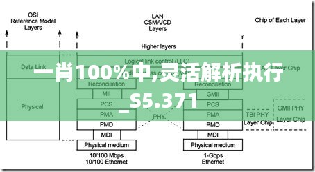 一肖100%中,靈活解析執行_S5.371