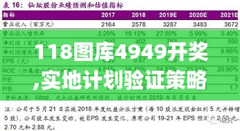 118圖庫4949開獎,實地計劃驗證策略_精英版1.238