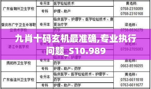 九肖十碼玄機最準確,專業執行問題_S10.989