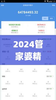 2024管家婆精準(zhǔn)資料第三,系統(tǒng)解析說明_XT4.860