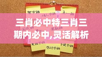 三肖必中特三肖三期內(nèi)必中,靈活解析設(shè)計_免費版1.340