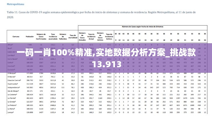 一碼一肖100%精準,實地數據分析方案_挑戰款13.913