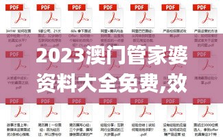 2023澳門管家婆資料大全免費,效率解答解釋落實_HD3.755