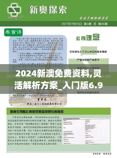 2024新澳免費資料,靈活解析方案_入門版6.916