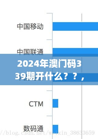 2024年澳門碼339期開什么？？,數據導向解析計劃_網紅版2.449