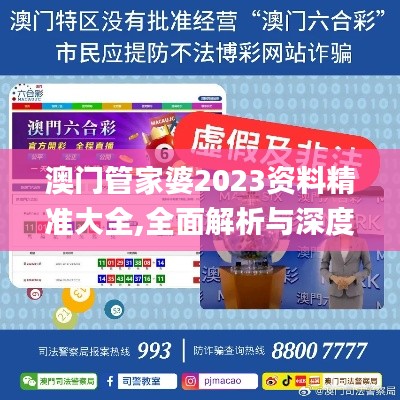 澳門管家婆2023資料精準大全,全面解析與深度體驗_經典款10.394