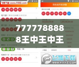 7777788888王中王中王大樂透,高速方案響應解析_豪華版5.269