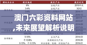 澳門六彩資料網站,未來展望解析說明_優選版9.276