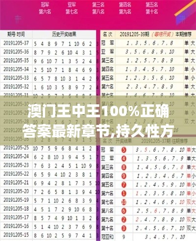 澳門(mén)王中王100%正確答案最新章節(jié),持久性方案解析_精英版3.406