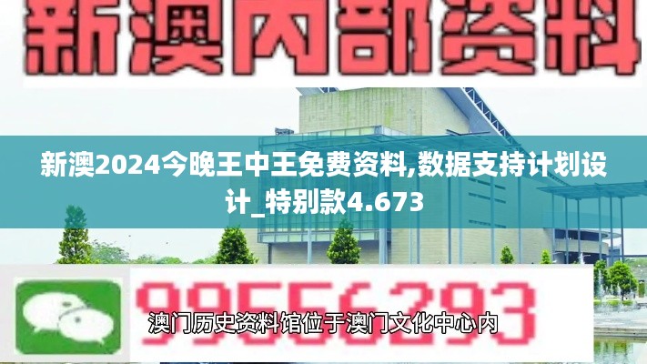 新澳2024今晚王中王免費資料,數(shù)據(jù)支持計劃設計_特別款4.673