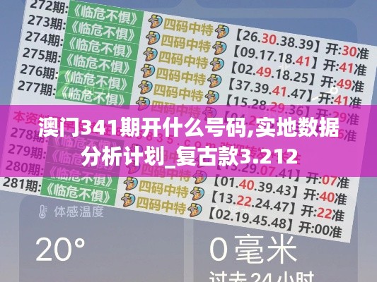 澳門341期開什么號碼,實地數據分析計劃_復古款3.212