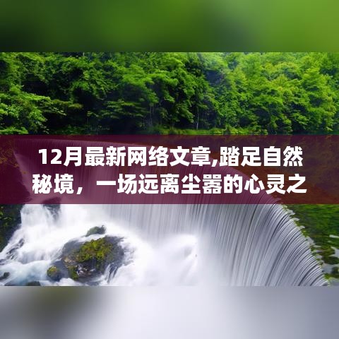 踏足自然秘境，一場遠離塵囂的十二月心靈之旅