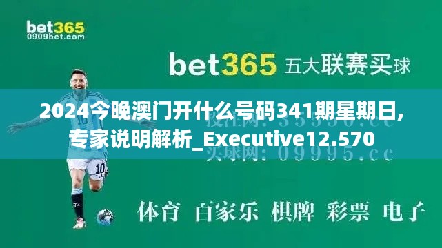 2024今晚澳門開什么號碼341期星期日,專家說明解析_Executive12.570