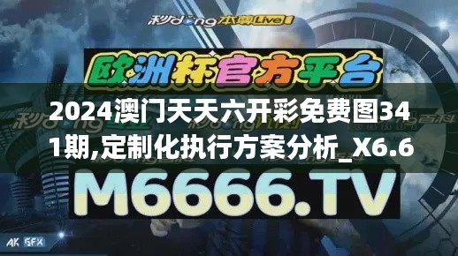 2024澳門天天六開彩免費圖341期,定制化執行方案分析_X6.632