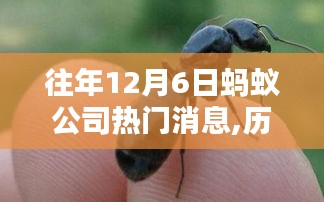 歷年12月6日科技巨浪掀起，螞蟻公司熱門消息大盤點(diǎn)