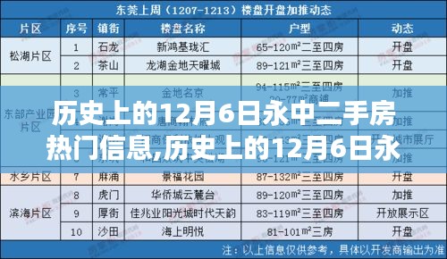 歷史上的12月6日永中二手房市場動態，熱點信息與購房技能詳解