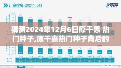 揭秘原干惠熱門種子背后的故事，回顧與預測至2024年12月6日的影響與展望