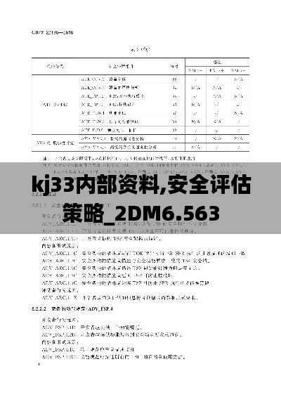 kj33內部資料,安全評估策略_2DM6.563