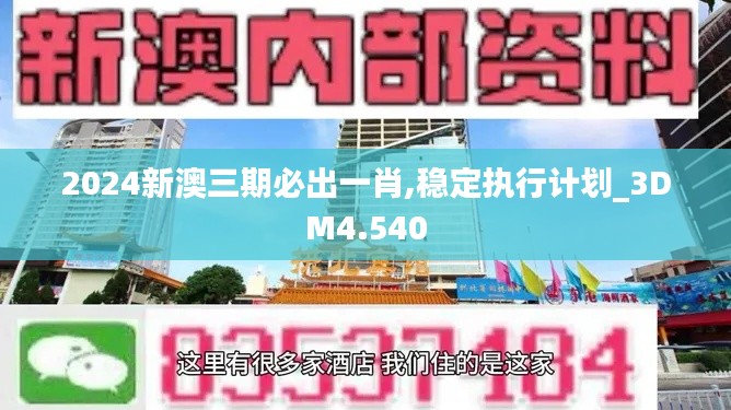 2024新澳三期必出一肖,穩定執行計劃_3DM4.540