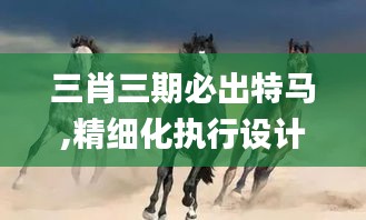 三肖三期必出特馬,精細化執行設計_4DM4.305