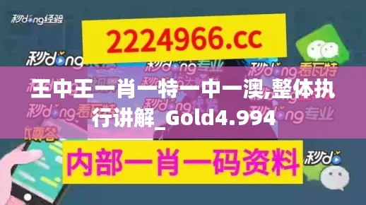 王中王一肖一特一中一澳,整體執(zhí)行講解_Gold4.994