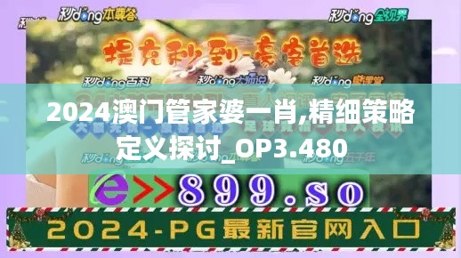 2024澳門管家婆一肖,精細策略定義探討_OP3.480