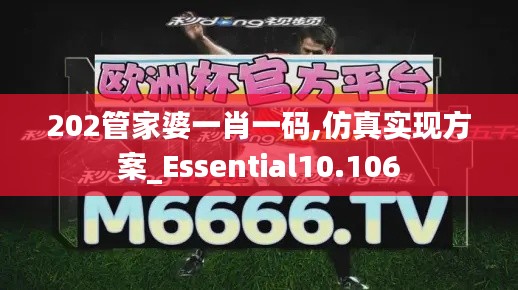 202管家婆一肖一碼,仿真實現方案_Essential10.106