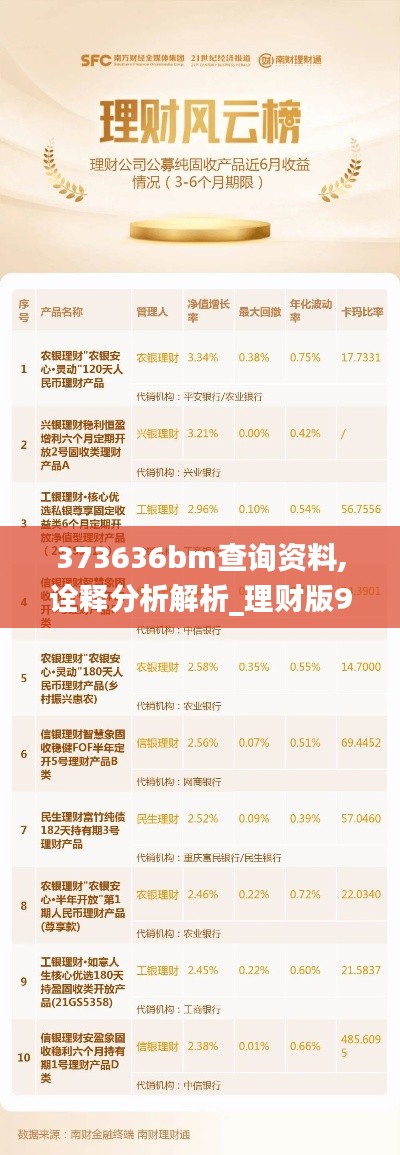 373636bm查詢資料,詮釋分析解析_理財版9.536