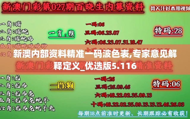 新澳內部資料精準一碼波色表,專家意見解釋定義_優選版5.116