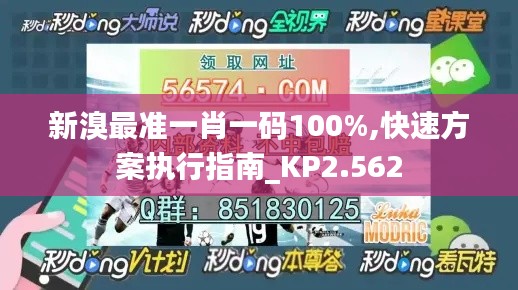 新溴最準一肖一碼100%,快速方案執行指南_KP2.562