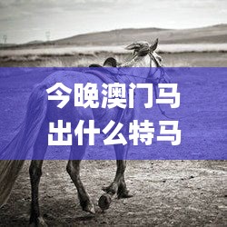 今晚澳門馬出什么特馬,權威詮釋推進方式_Gold8.424