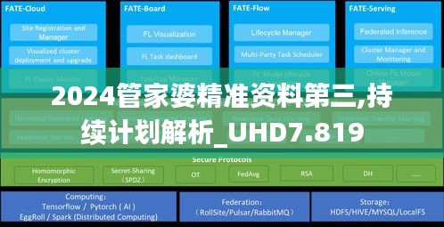 2024管家婆精準資料第三,持續(xù)計劃解析_UHD7.819