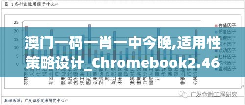 澳門一碼一肖一中今晚,適用性策略設(shè)計(jì)_Chromebook2.468