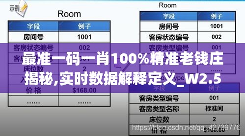 最準一碼一肖100%精準老錢莊揭秘,實時數據解釋定義_W2.500