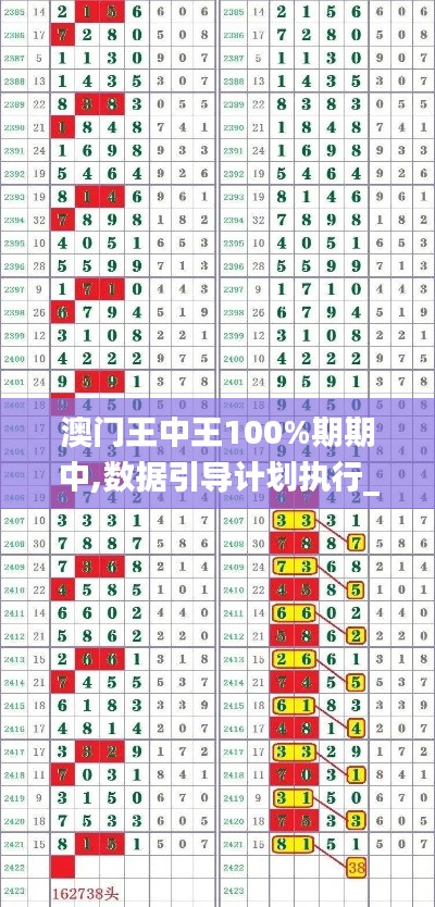 澳門王中王100%期期中,數據引導計劃執行_儲蓄版10.913