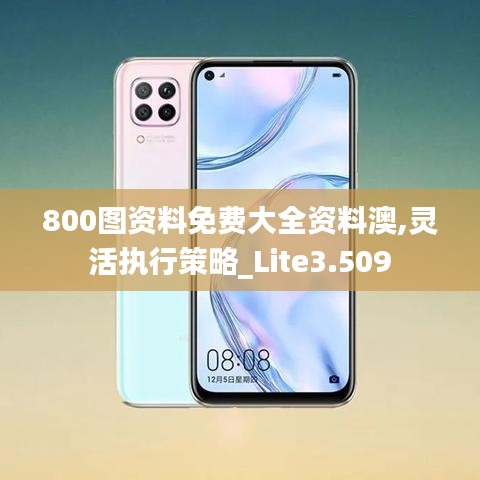 800圖資料免費大全資料澳,靈活執行策略_Lite3.509