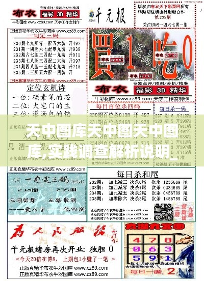 天中圖庫天中圖天中圖庫,實踐調查解析說明_7DM7.374